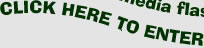 enter site